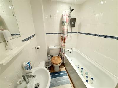 Picture 11
